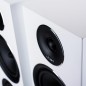 Zestaw stereo: DRA-800H + EL-8