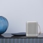 Głośnik przenośny BEOPLAY P6 Głośnik przenośny BEOPLAY P6