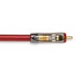 QED REFERENCE Stereo cable AUDIO 40 [2x RCA M - 2x RCA M]
