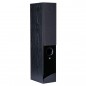 Kino domowe zestaw 5.0: RAPTOR 5/1/VOCAL