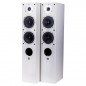Kino domowe zestaw 5.0: RAPTOR 5/1/VOCAL