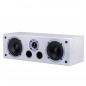 Kino domowe zestaw 5.0: RAPTOR 5/1/VOCAL