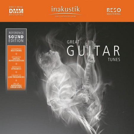 LP GREAT GUITAR TUNES (2 LP)