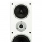 Zestaw stereo: PM6007 + RAPTOR 9