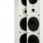 Zestaw kina domowego 5.0 RAPTOR 9/MINI/VOCAL