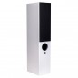 Zestaw stereo: RCDN-11 DAB + Raptor 5