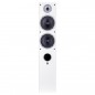 Zestaw stereo: Denon DRA-900H + Wilson RAPTOR 7