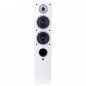 Zestaw stereo: Denon DRA-900H + Wilson RAPTOR 5