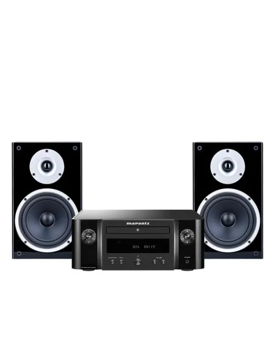Zestaw stereo: MELODY X + Raptor 3