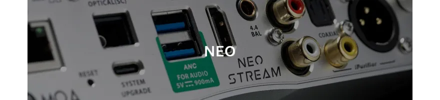 iFi Audio NEO