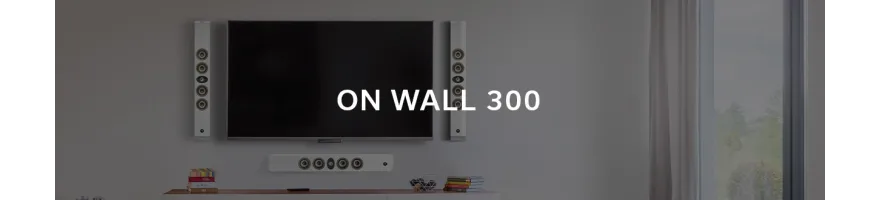 ON WALL 300