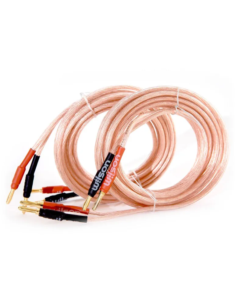 WILSON Wilson SPK Cable 4.0mm — Profesjonalny przewód głośnikowy 2x4mm 3m z wtykami bananowymi