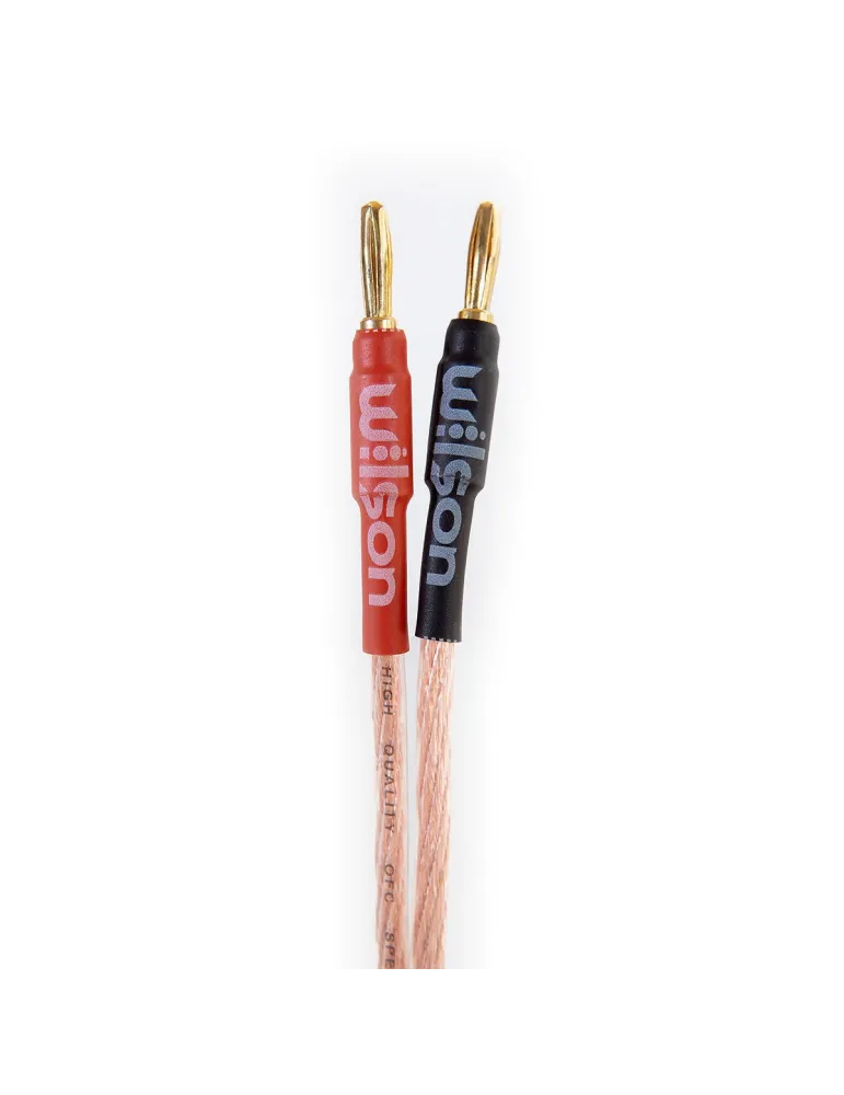 WILSON Wilson SPK Cable 4.0mm — Profesjonalny przewód głośnikowy 2x4mm 3m z wtykami bananowymi
