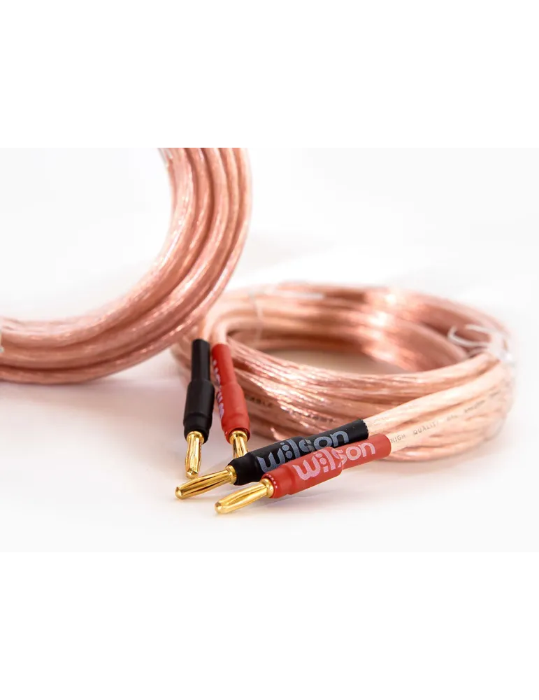 WILSON Wilson SPK Cable 4.0mm — Profesjonalny przewód głośnikowy 2x4mm 3m z wtykami bananowymi
