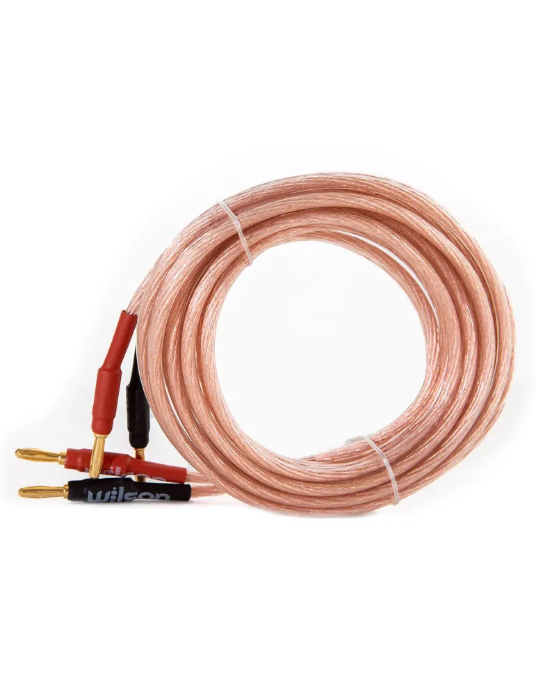 WILSON Wilson SPK Cable 4.0mm — Profesjonalny przewód głośnikowy 2x4mm 3m z wtykami bananowymi
