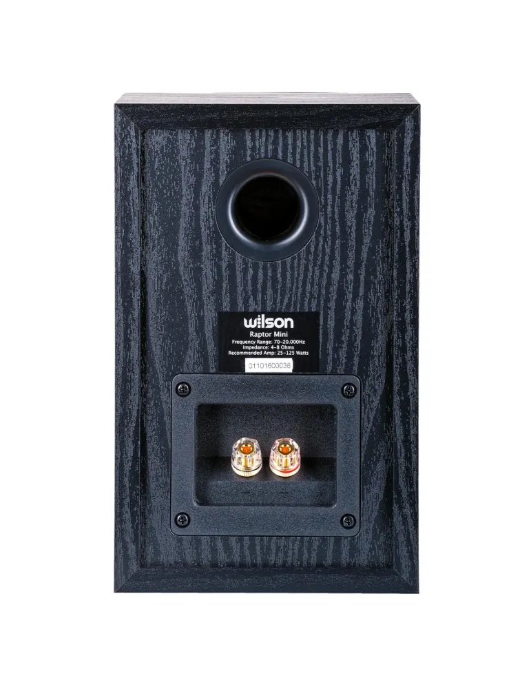 WILSON Zestaw kina domowego Wilson Raptor 5/Mini/Vocal/Sub-9 — dynamiczne brzmienie 5.1