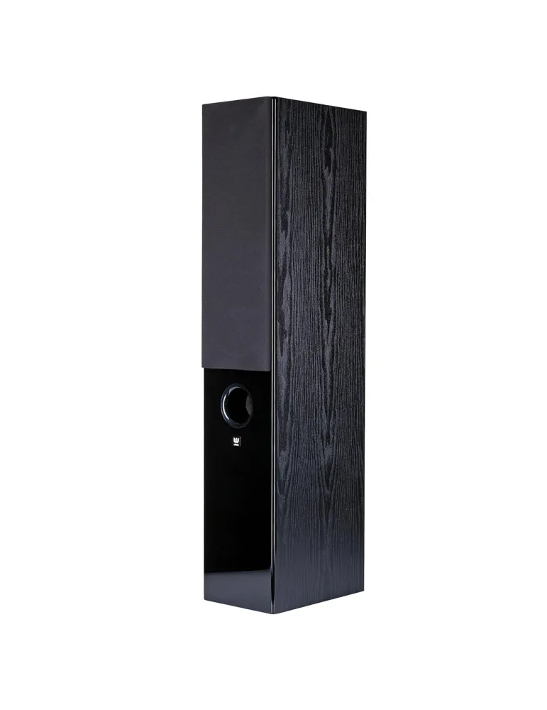 WILSON Zestaw kina domowego Wilson Raptor 7/M/C — Premium audio 5.0 z mocnym basem