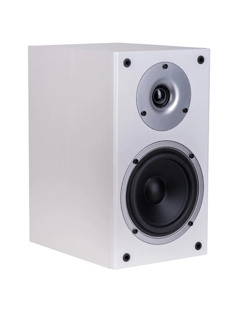 DENON Denon AVR-X2800H + Wilson Raptor 5/1/Vocal — Kino domowe Dolby Atmos
