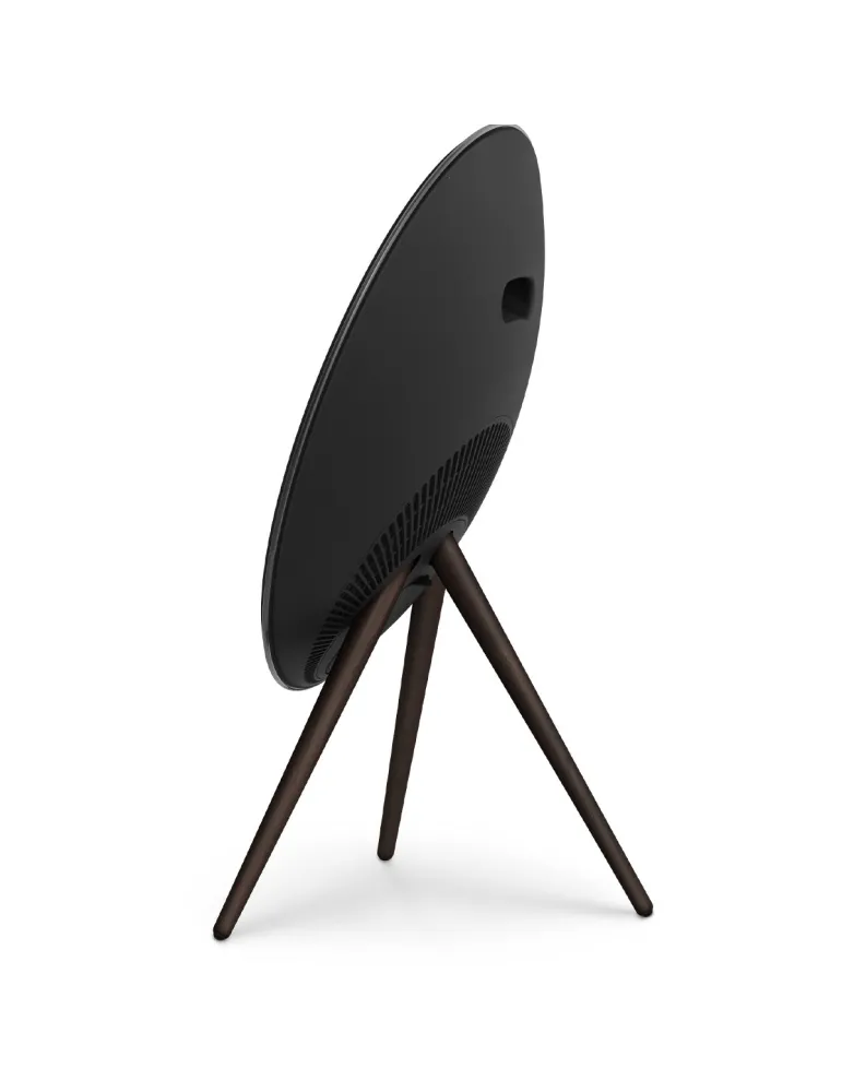 BANG & OLUFSEN Bang & Olufsen Beosound A9 5th Gen — Głośnik Bluetooth z Chromecast i AirPlay 2