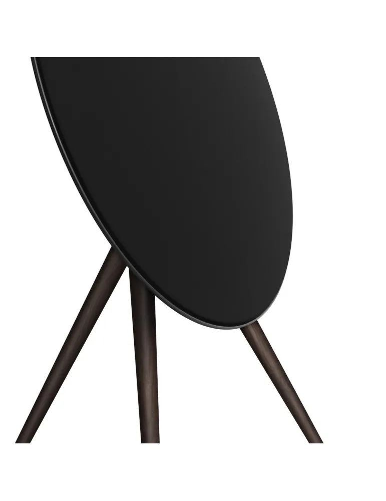 BANG & OLUFSEN Bang & Olufsen Beosound A9 5th Gen — Głośnik Bluetooth z Chromecast i AirPlay 2