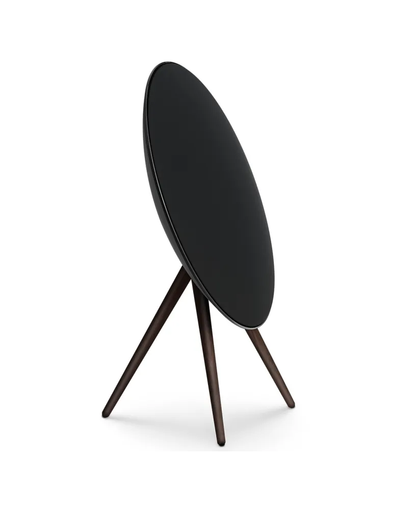 BANG & OLUFSEN Bang & Olufsen Beosound A9 5th Gen — Głośnik Bluetooth z Chromecast i AirPlay 2
