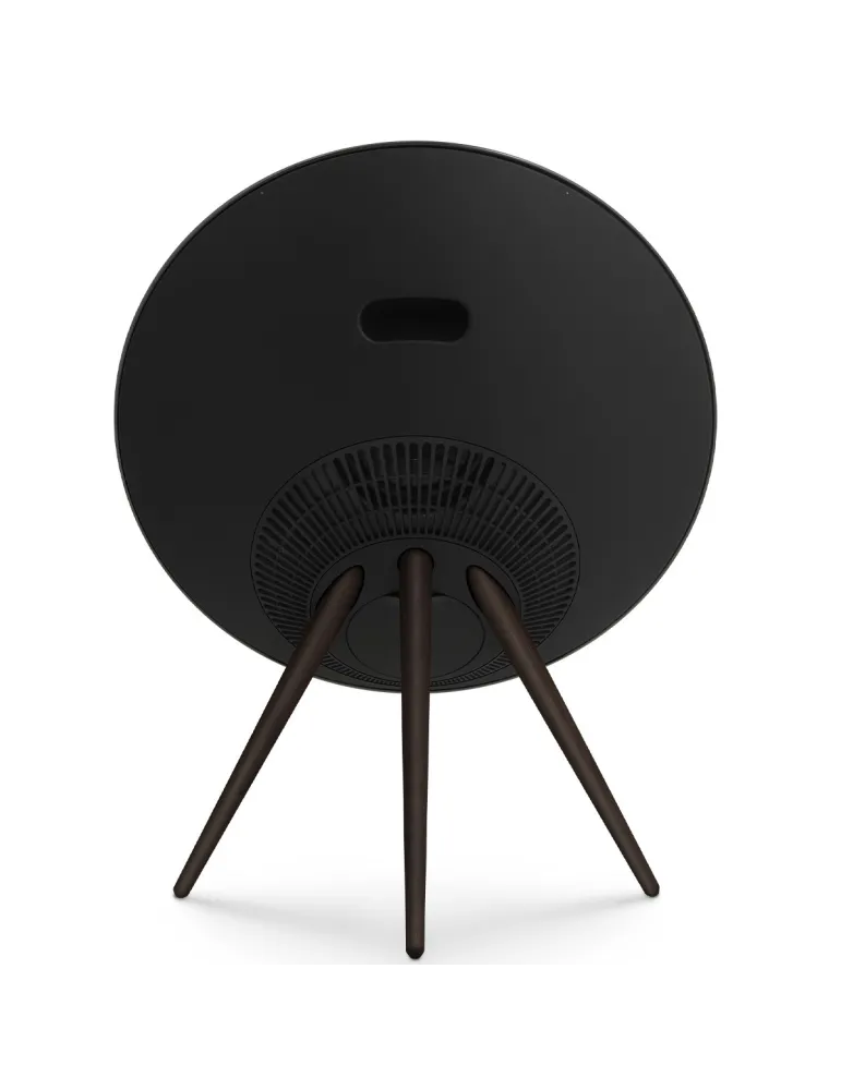 BANG & OLUFSEN Bang & Olufsen Beosound A9 5th Gen — Głośnik Bluetooth z Chromecast i AirPlay 2