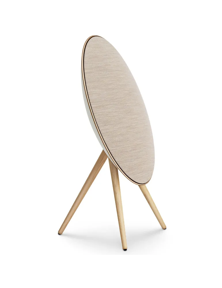 BANG & OLUFSEN Bang & Olufsen Beosound A9 5th Gen — Głośnik Bluetooth z Chromecast i AirPlay 2