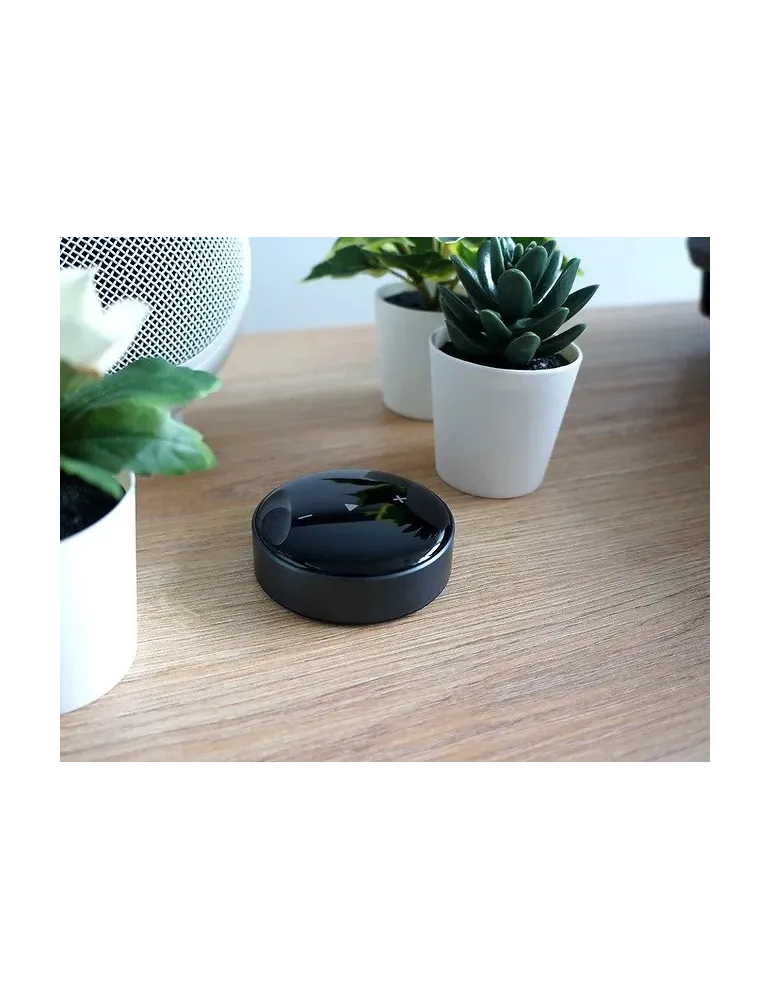 ELIPSON Elipson WM Multiroom — Odbiornik Wi-Fi z AirPlay 2 i Bluetooth 5.2