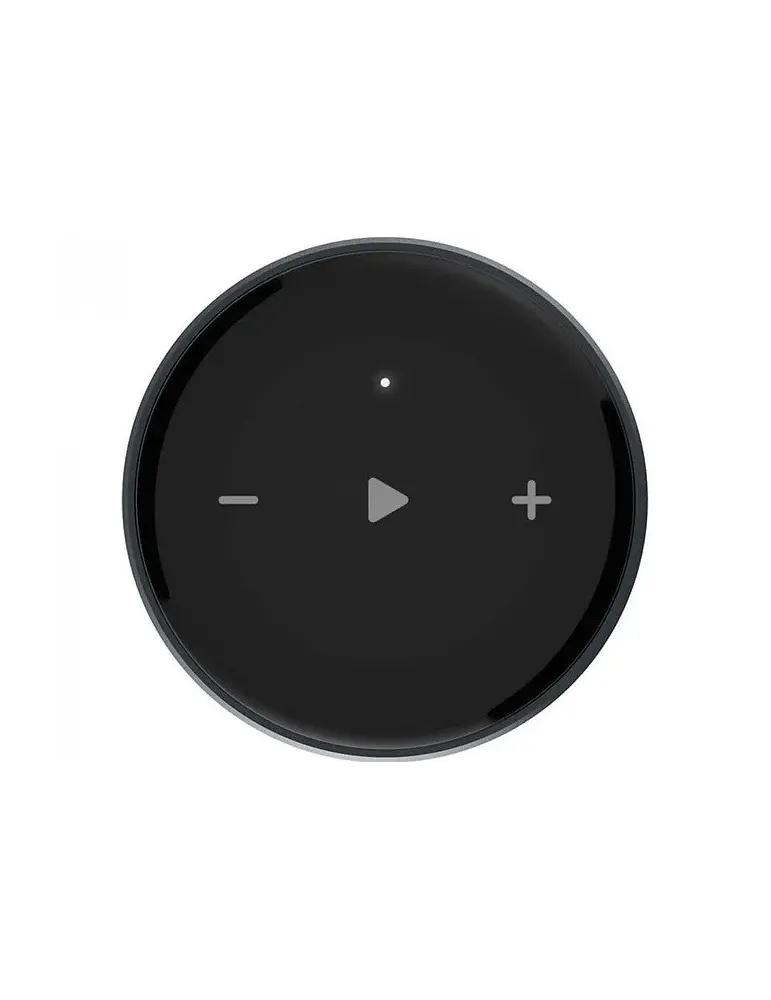 ELIPSON Elipson WM Multiroom — Odbiornik Wi-Fi z AirPlay 2 i Bluetooth 5.2