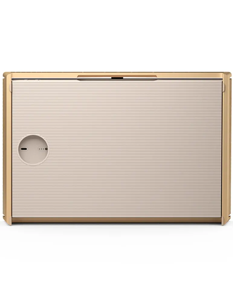 BANG & OLUFSEN Bang & Olufsen BeoSound Level — Głośnik premium Wi-Fi z Bluetooth 5.0