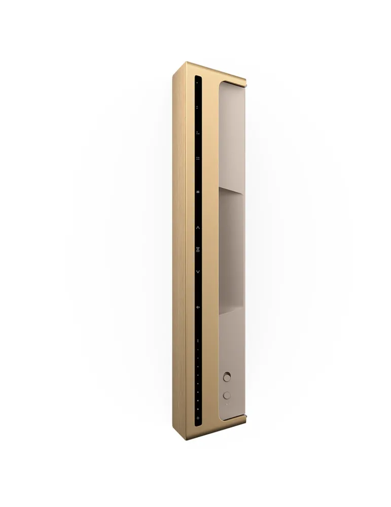 BANG & OLUFSEN Bang & Olufsen BeoSound Level — Głośnik premium Wi-Fi z Bluetooth 5.0