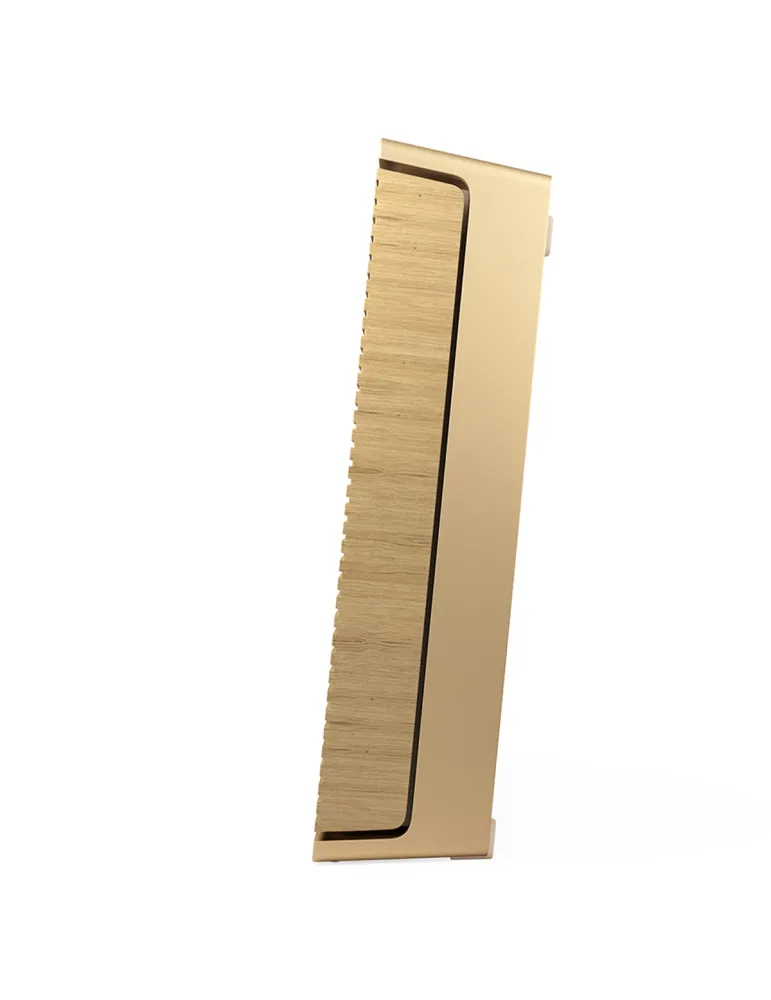 BANG & OLUFSEN Bang & Olufsen BeoSound Level — Głośnik premium Wi-Fi z Bluetooth 5.0