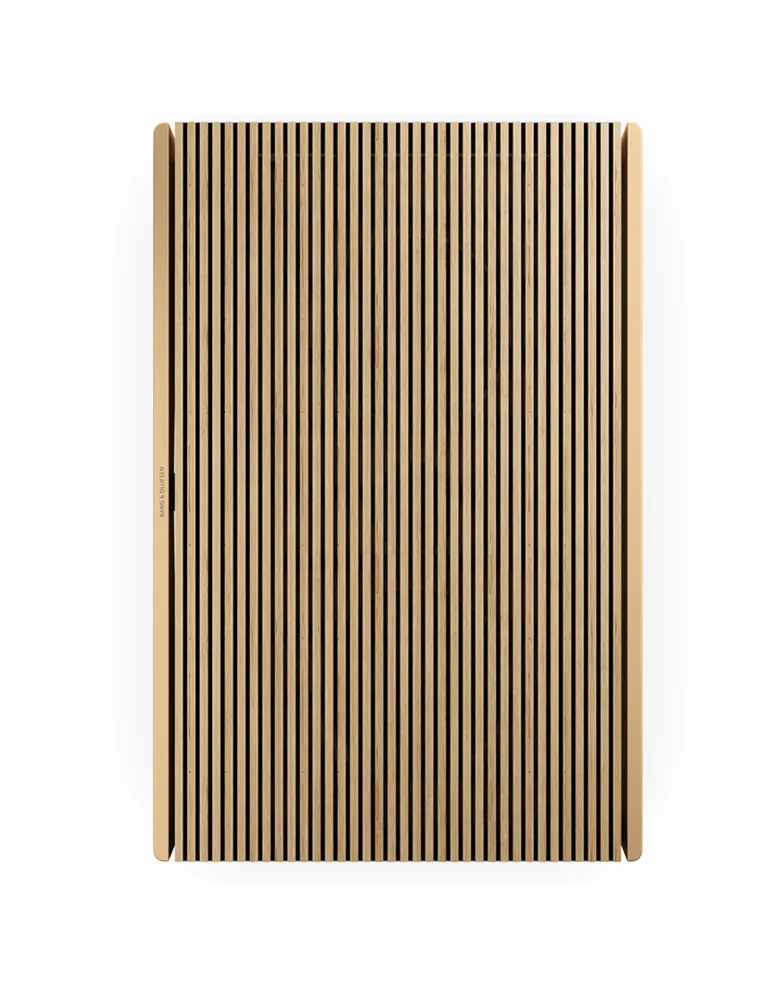 BANG & OLUFSEN Bang & Olufsen BeoSound Level — Głośnik premium Wi-Fi z Bluetooth 5.0