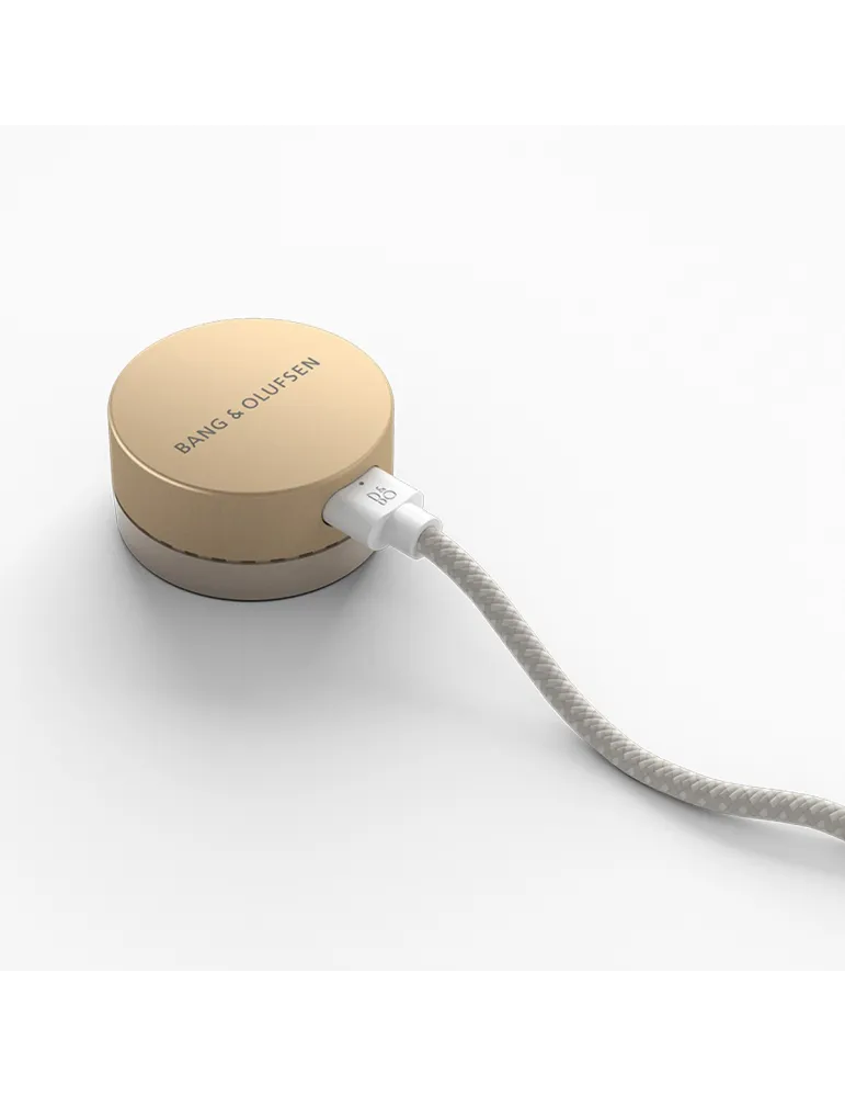 BANG & OLUFSEN Bang & Olufsen BeoSound Level — Głośnik premium Wi-Fi z Bluetooth 5.0