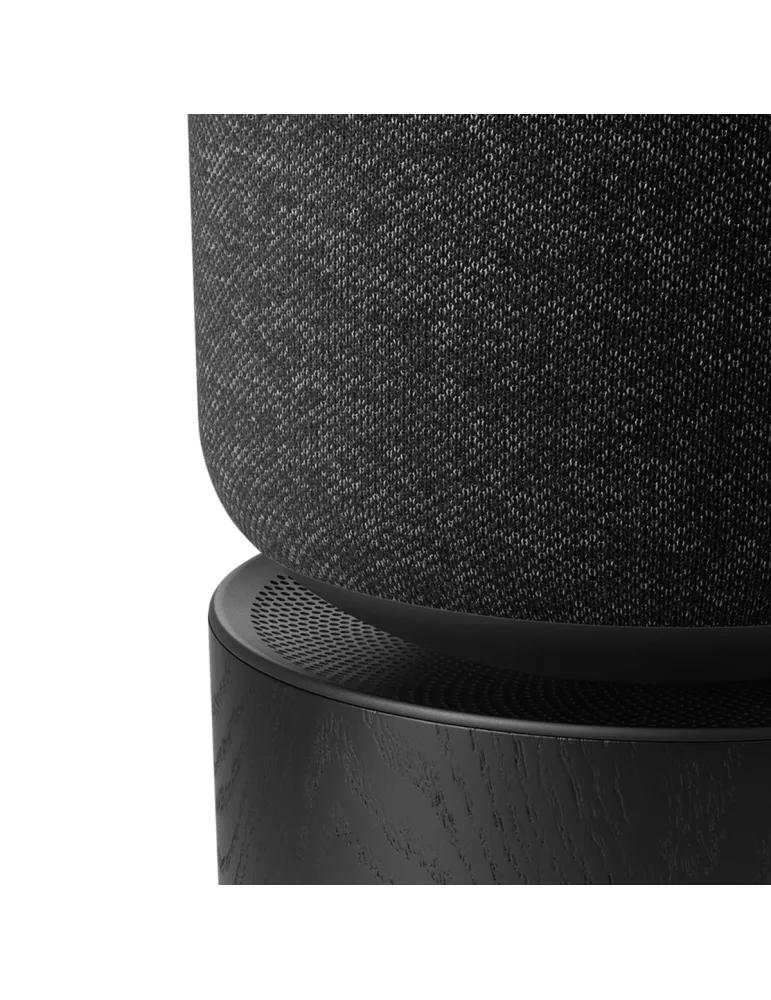 BANG & OLUFSEN Bang & Olufsen BeoSound Balance — Głośniki aktywne Bluetooth/Wi-Fi do salonu