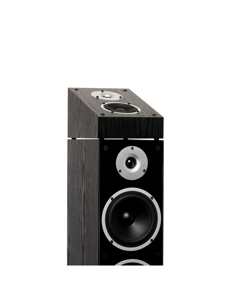 WILSON Wilson Raptor X — Kolumny głośnikowe Dolby Atmos do kina domowego