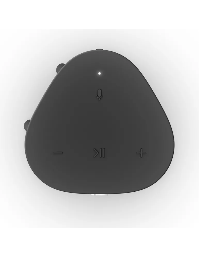 SONOS Zestaw Sonos Move 2 + Roam 2 — Wodoodporne głośniki z Bluetooth i Wi-Fi