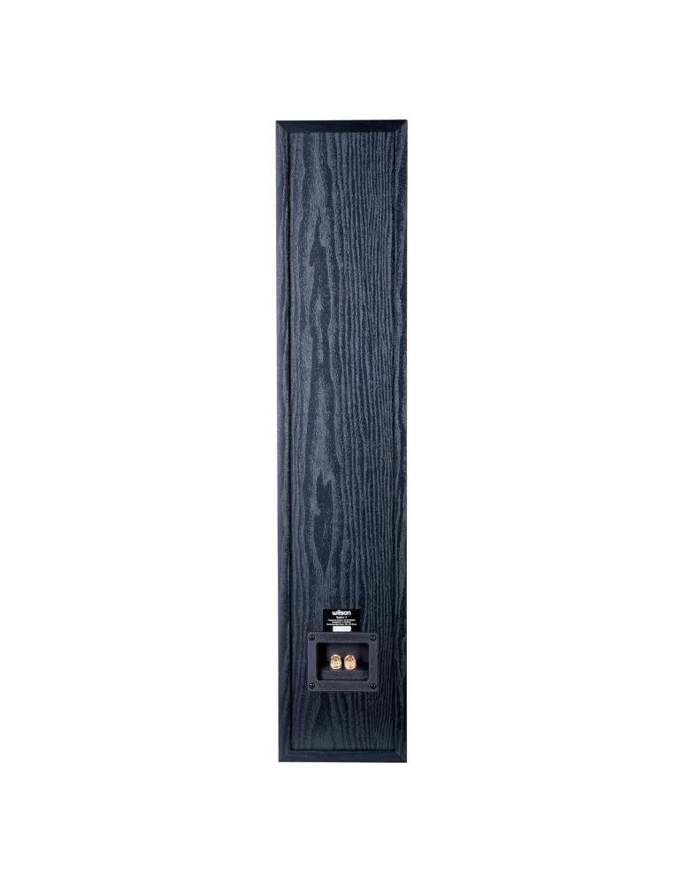 DENON Zestaw kina domowego Denon AVR-X580BT + Wilson Raptor 5/Mini/Vocal — Bluetooth, 8K