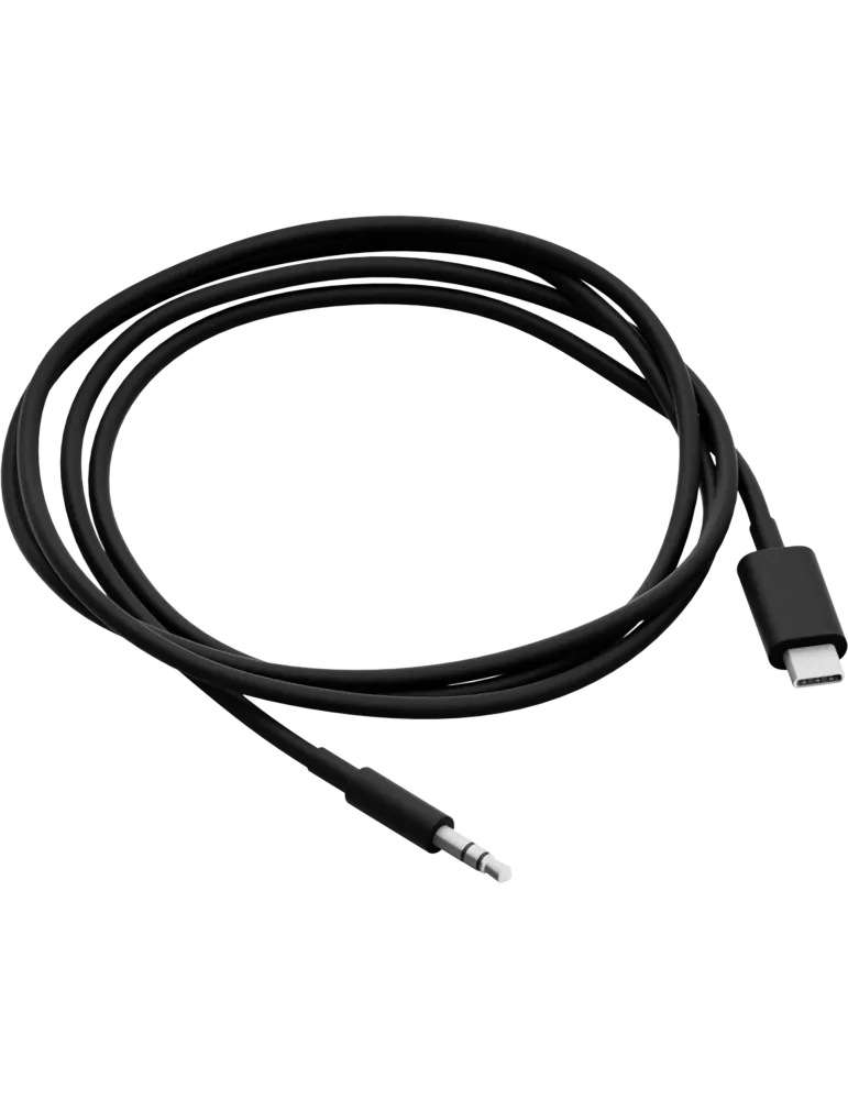 SONOS Sonos Ace — Profesjonalny kabel pomocniczy USB-C do 3,5 mm