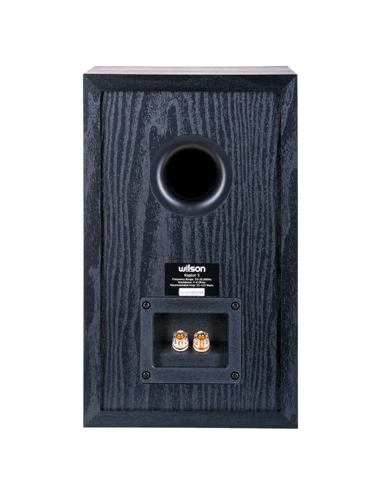 MARANTZ Zestaw stereo Marantz Melody X + Wilson Raptor 3 — Bluetooth, Wi-Fi, Hi-Res Audio